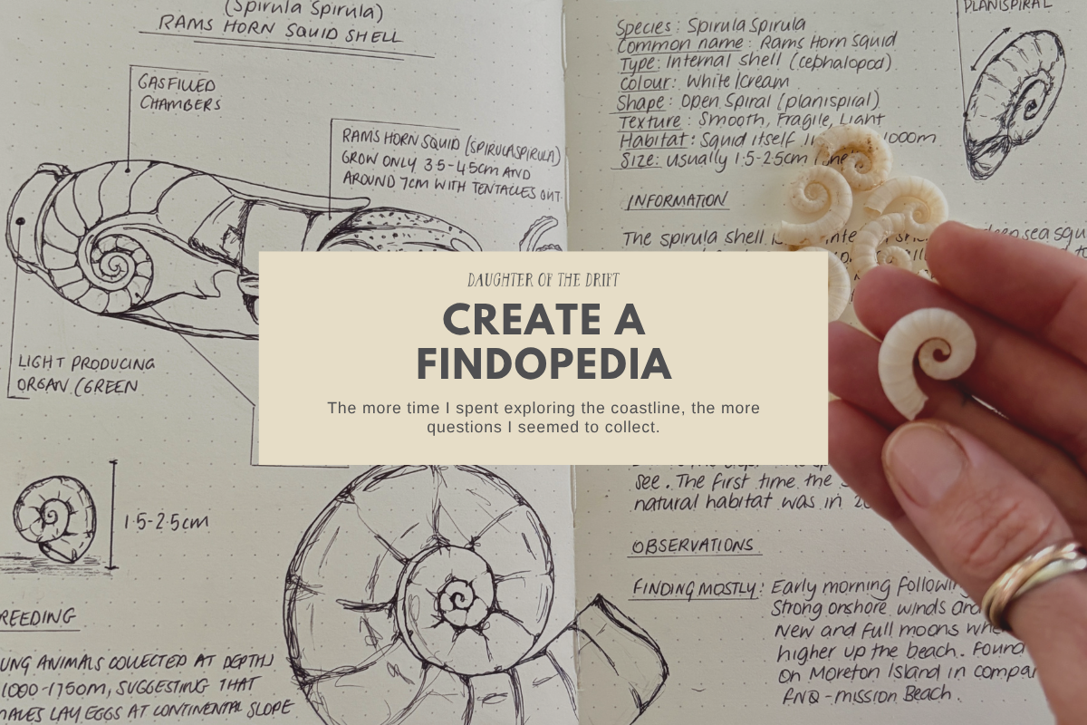 What Is a Findopedia? A Field Guide to Curiosity