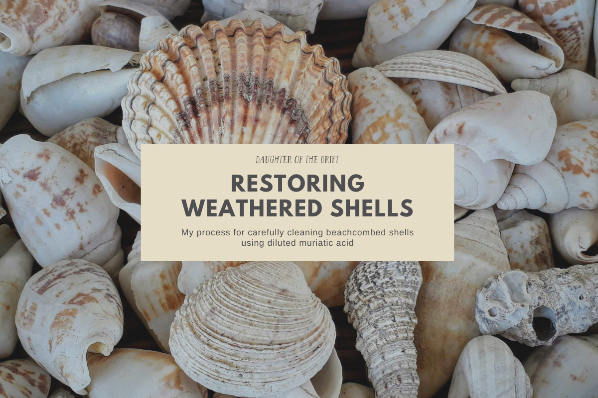 Restoring Weathered Shells
