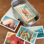 The Keepers Tin
