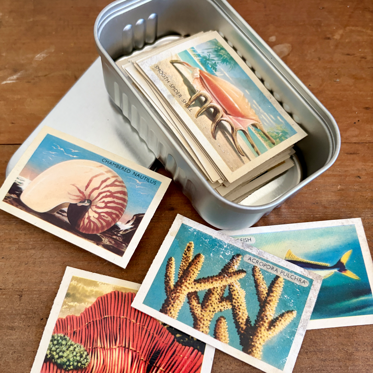 The Keepers Tin