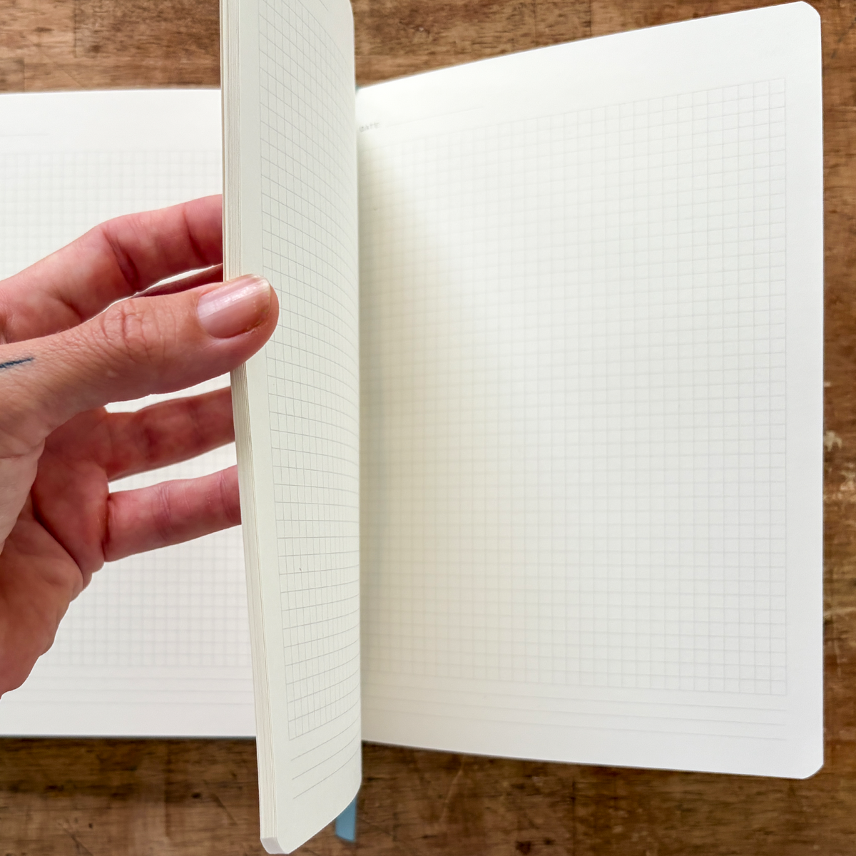The Gridded Logbook